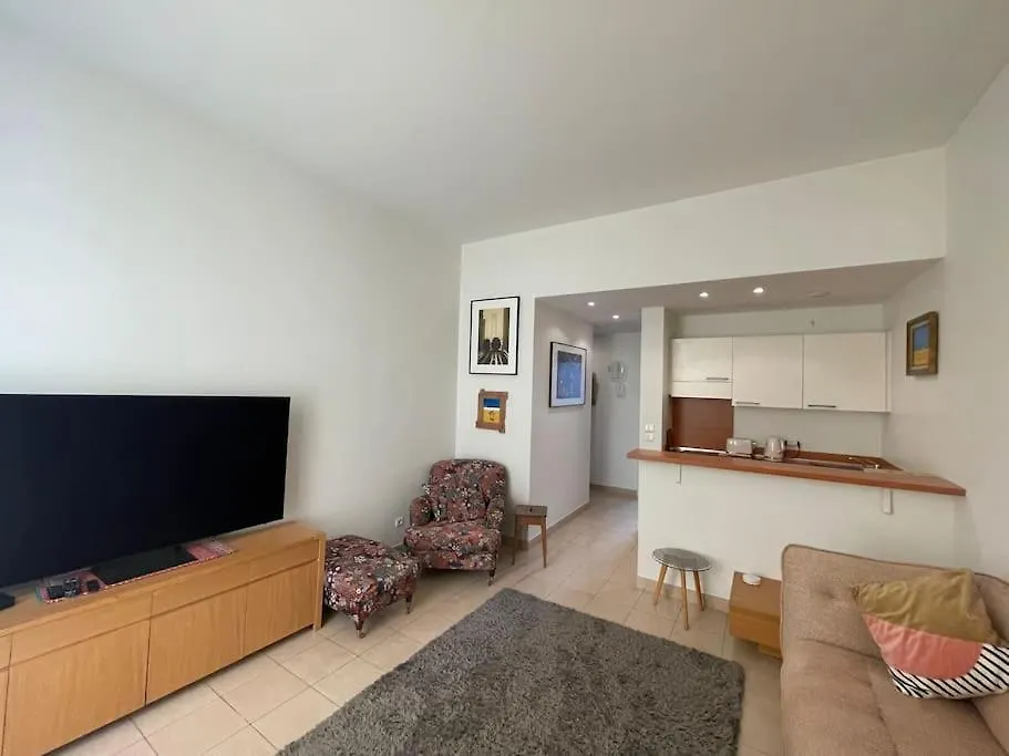 Gorgeous Apartment Cannes Croisette France